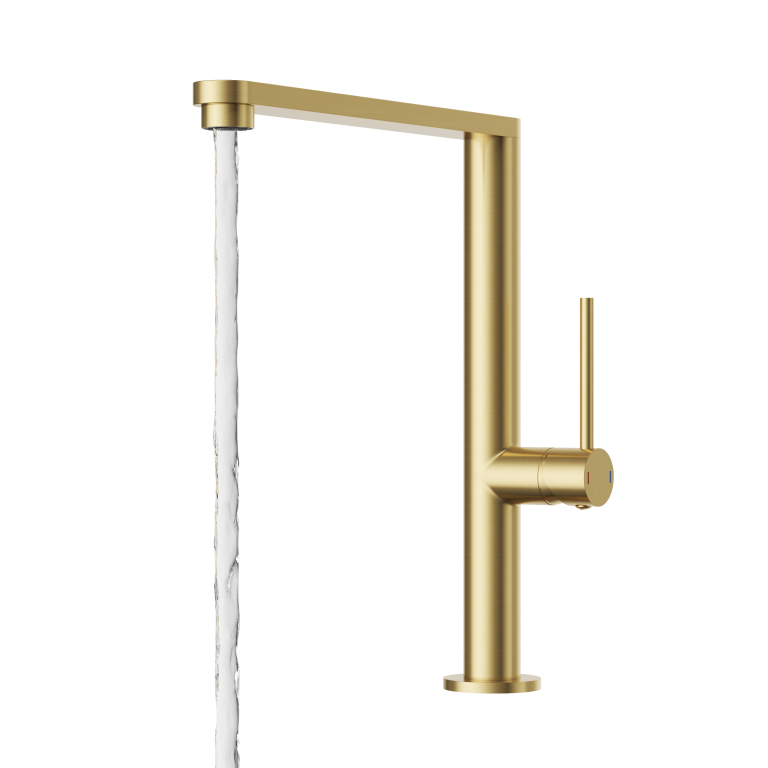 NOOK PRO zlota szczykowana_u2